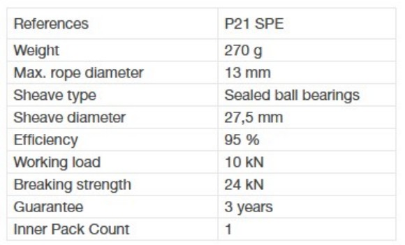 P21-SPE.jpg